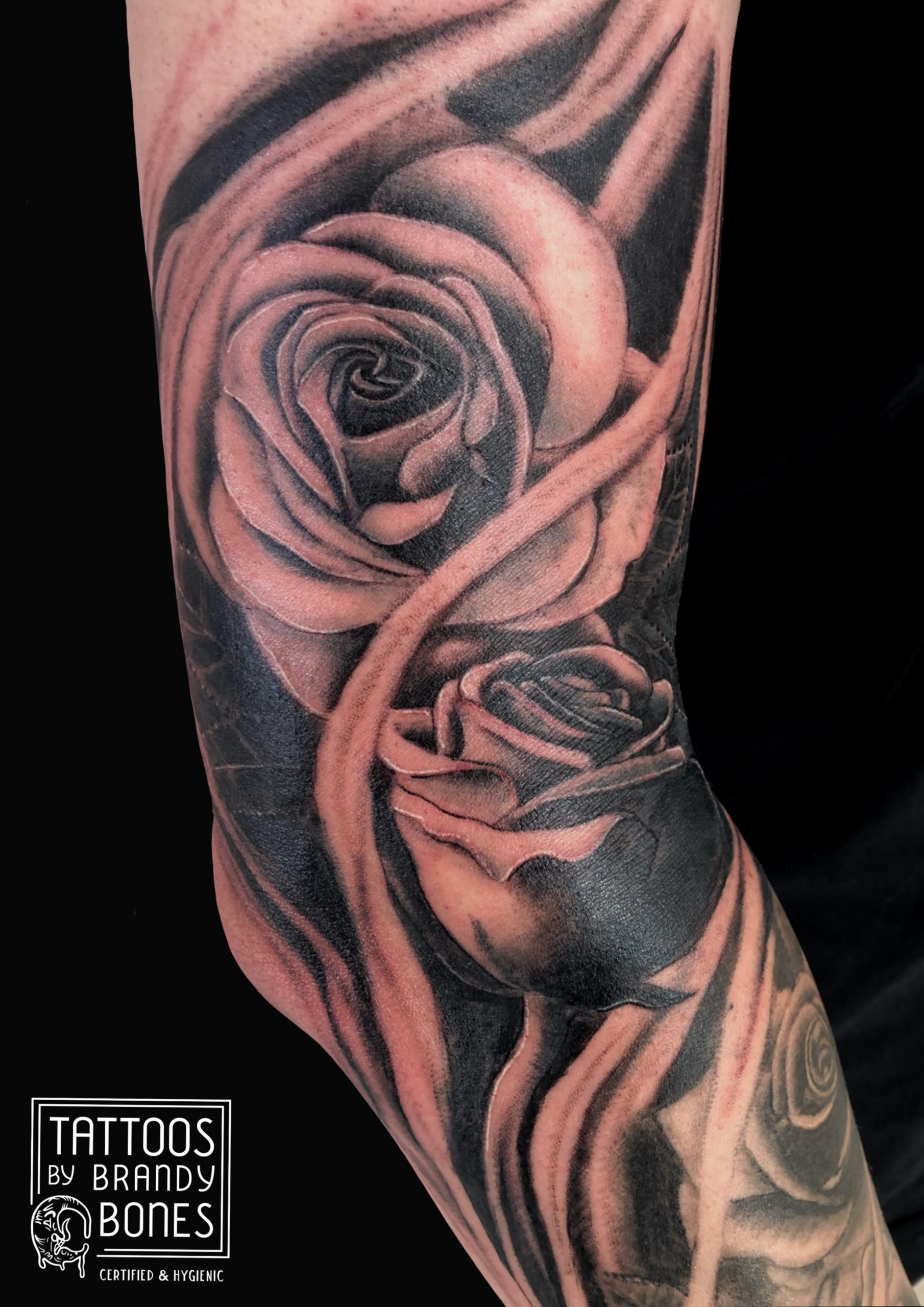 Realistic Roses Black and Grey
